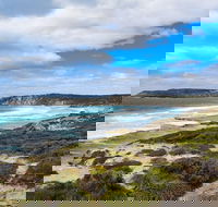 Kangaroo Island Luxury Small Group 'East End Explorer' Full Day Tour - Tweed Heads Accommodation