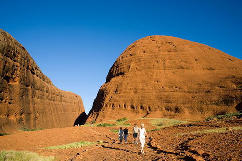 Afternoon Kata Tjuta Small Group Tour - Tweed Heads Accommodation 1