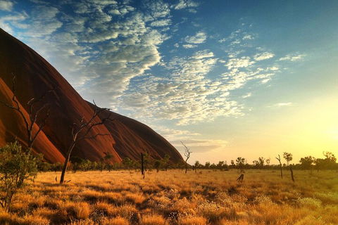 Highlights Of Uluru Including Sunrise And Breakfast - Tweed Heads Accommodation 0