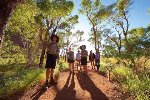 Uluru Small Group Tour Including Sunset - Tweed Heads Accommodation 0