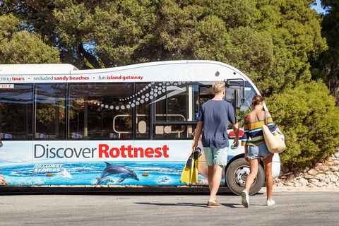 Discover Rottnest With Ferry & Bus Tour From Perth Or Fremantle - Tweed Heads Accommodation 1