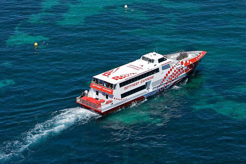 Discover Rottnest With Ferry & Bus Tour From Perth Or Fremantle - Tweed Heads Accommodation 3
