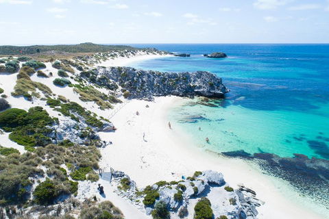 Discover Rottnest With Ferry & Bus Tour From Perth Or Fremantle - Tweed Heads Accommodation 5