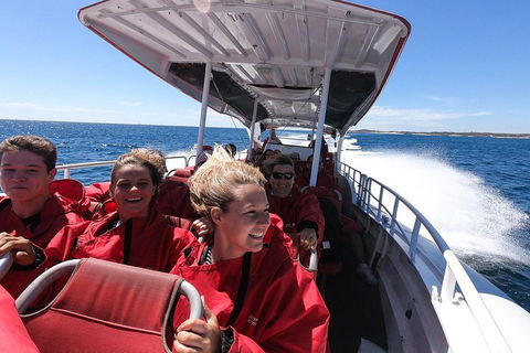 Adventure Rottnest Tour With Ferry & Adventure Cruise From Perth Or Fremantle - Tweed Heads Accommodation 0