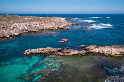 Adventure Rottnest Tour With Ferry & Adventure Cruise From Perth Or Fremantle - Tweed Heads Accommodation 3