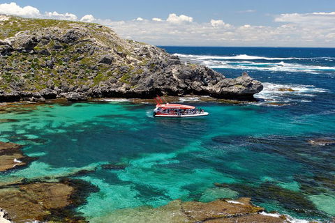 Adventure Rottnest Tour With Ferry & Adventure Cruise From Perth Or Fremantle - Tweed Heads Accommodation 5