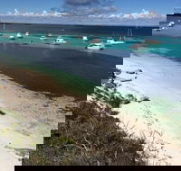 Experience Rottnest with Ferry  Bike Hire from Perth or Fremantle - Tweed Heads Accommodation