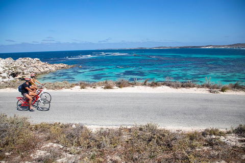 Experience Rottnest With Ferry & Bike Hire From Perth Or Fremantle - Tweed Heads Accommodation 2
