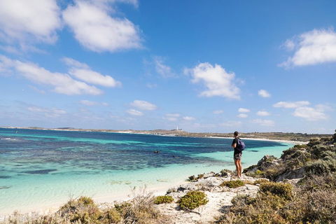Experience Rottnest With Ferry & Bike Hire From Perth Or Fremantle - Tweed Heads Accommodation 3