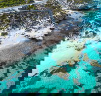 Rottnest Island Round-Trip Ferry from Perth or Fremantle - Tweed Heads Accommodation