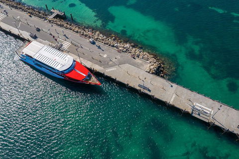 Rottnest Island Round-Trip Ferry From Perth Or Fremantle - Tweed Heads Accommodation 1