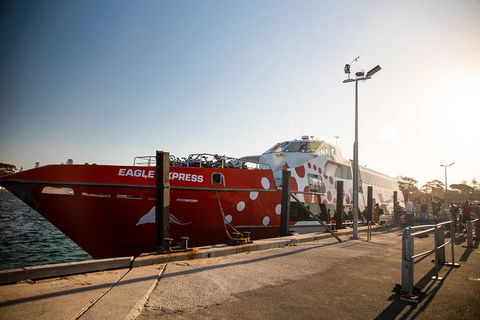 Rottnest Island Round-Trip Ferry From Perth Or Fremantle - Tweed Heads Accommodation 2