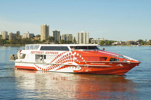 Rottnest Island Round-Trip Ferry From Perth Or Fremantle - Tweed Heads Accommodation 5