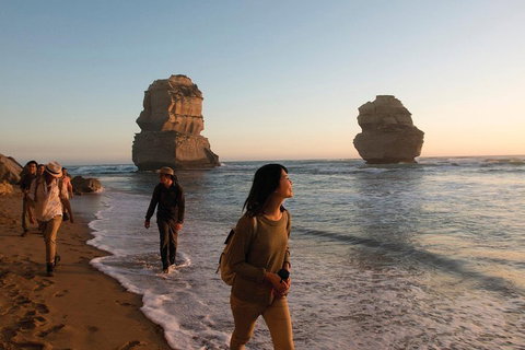 Full-Day Great Ocean Road And 12 Apostles Sunset Tour From Melbourne - Tweed Heads Accommodation 4