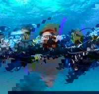 Great Barrier Reef Diving and Snorkeling Cruise from Cairns - Tweed Heads Accommodation