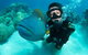 Great Barrier Reef Diving And Snorkeling Cruise From Cairns - thumb 2