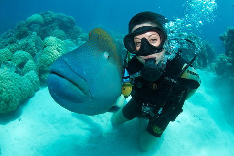 Great Barrier Reef Diving And Snorkeling Cruise From Cairns - Tweed Heads Accommodation 2