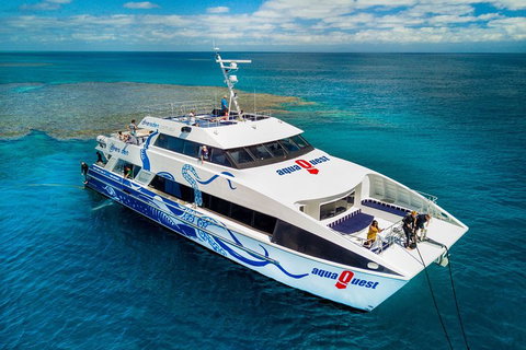 Great Barrier Reef Diving And Snorkeling Cruise From Cairns - Tweed Heads Accommodation 5