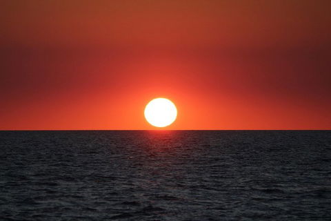 Roebuck Bay Snubfin Dolphin Cruise - Tweed Heads Accommodation 3