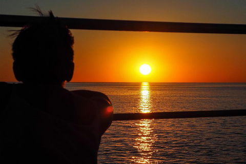 Roebuck Bay Snubfin Dolphin Cruise - Tweed Heads Accommodation 4