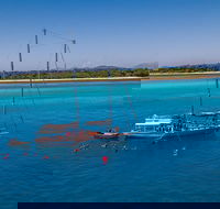 Ocean Free Green Island  Great Barrier Reef Snorkel Cruise Cairns 25 guests - Tweed Heads Accommodation