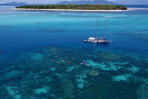 Ocean Free Green Island & Great Barrier Reef Snorkel Cruise, Cairns 25 Guests - Tweed Heads Accommodation 2