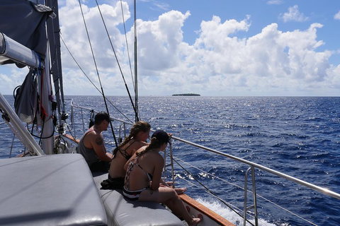 Ocean Free Green Island & Great Barrier Reef Snorkel Cruise, Cairns 25 Guests - Tweed Heads Accommodation 4