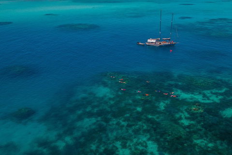 Ocean Free Green Island & Great Barrier Reef Snorkel Cruise, Cairns 25 Guests - Tweed Heads Accommodation 5