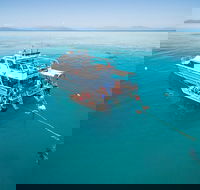 Ocean Freedom Great Barrier Reef Personal Luxury Snorkel  Dive Cruise Cairns - Tweed Heads Accommodation