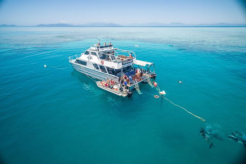 Ocean Freedom Great Barrier Reef Personal Luxury Snorkel & Dive Cruise, Cairns - Tweed Heads Accommodation 0