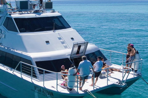 Ocean Freedom Great Barrier Reef Personal Luxury Snorkel & Dive Cruise, Cairns - Tweed Heads Accommodation 1
