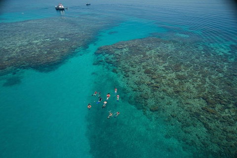 Ocean Freedom Great Barrier Reef Personal Luxury Snorkel & Dive Cruise, Cairns - Tweed Heads Accommodation 3