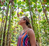 5 Day Australia Retreat Queensland Daintree - Tweed Heads Accommodation