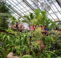 Australian Butterfly Sanctuary - Tweed Heads Accommodation