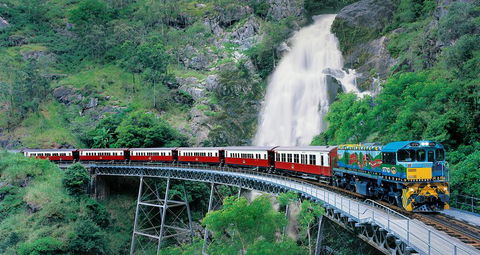 Classic Kuranda By Skyrail And Scenic Railway Including Rainforestation, Koala And Wildlife Park And Pamagirri Aboriginal Experi - Tweed Heads Accommodation 1