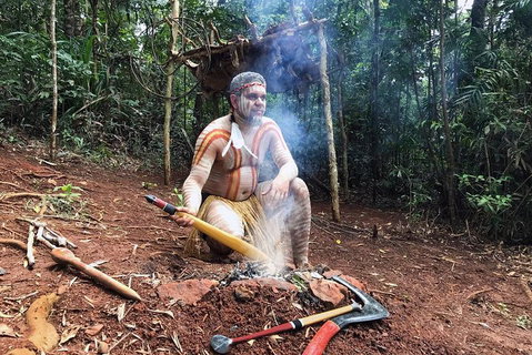 Kuranda Highlights Including Rainforestation Aboriginal Culture And Wildlife - Tweed Heads Accommodation 0