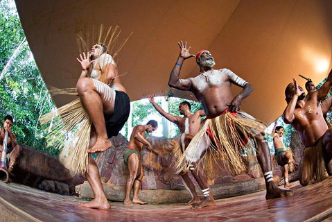 Kuranda Highlights Including Rainforestation Aboriginal Culture And Wildlife - Tweed Heads Accommodation 1
