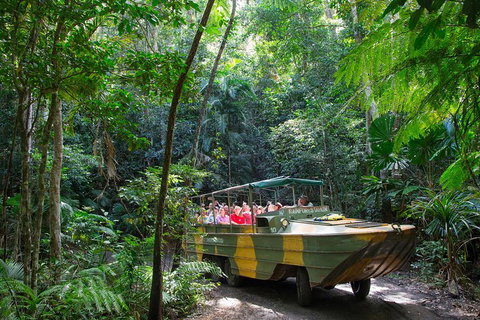 Kuranda Highlights Including Rainforestation Aboriginal Culture And Wildlife - Tweed Heads Accommodation 2