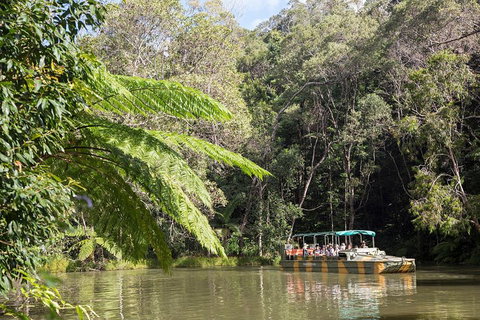 Best Of Kuranda Including Skyrail, Kuranda Scenic Railway And Rainforestation - Tweed Heads Accommodation 5