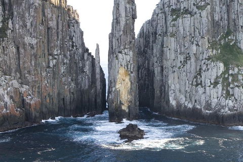 Tasman Island Cruises And Port Arthur Historic Site Day Tour From Hobart - Tweed Heads Accommodation 2