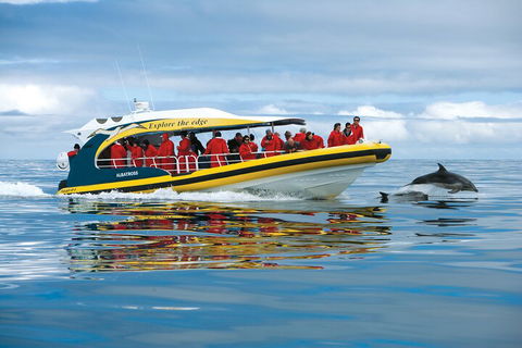Tasman Island Cruises And Port Arthur Historic Site Day Tour From Hobart - Tweed Heads Accommodation 3