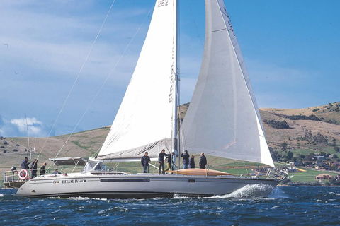Half-Day Sailing On The Derwent River From Hobart - Tweed Heads Accommodation 1