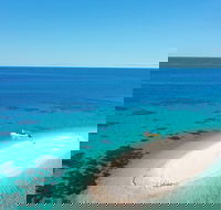 Ocean Safari Great Barrier Reef Experience in Cape Tribulation - Tweed Heads Accommodation