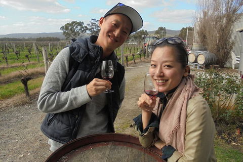 Swan Valley River Cruise And Wine Tasting Day Trip From Perth - Tweed Heads Accommodation 0
