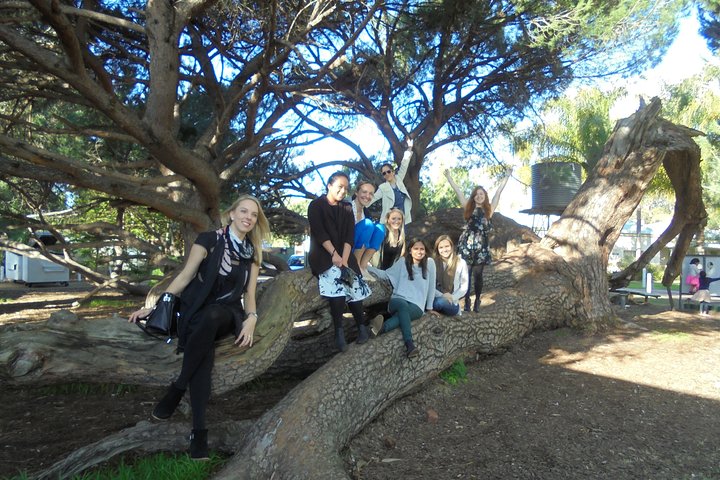  Tweed Heads Accommodation