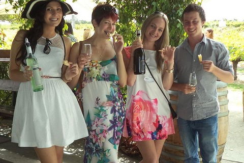 1/2 Day Swan Valley Wine Cheese & Chocolate Tour Inc Afternoon Cruise To Perth - Tweed Heads Accommodation 4