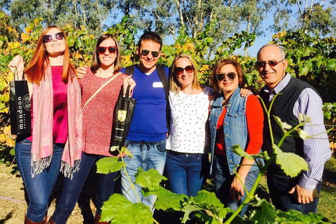 Wine Tasting Day Trip And Swan Valley River Cruise To Perth - Tweed Heads Accommodation 2
