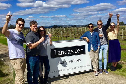 Swan Valley Tour From Perth: Wine, Beer And Chocolate Tastings - Tweed Heads Accommodation 1
