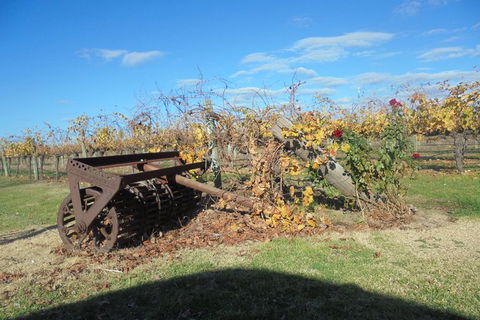 Swan Valley Tour From Perth: Wine, Beer And Chocolate Tastings - Tweed Heads Accommodation 3