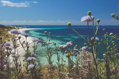 Rottnest Island Full-Day Trip With Guided Island Tour From Perth - Tweed Heads Accommodation 2